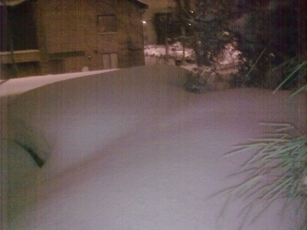 Mycket snö i trädgården...